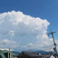 連日の入道雲