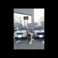 エンジン載せ替え遭遇