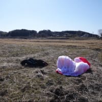 2月15日の八郷