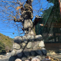明けましておめでとうございます。