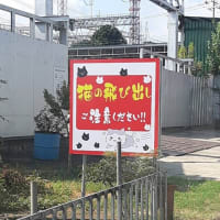 おもわずアクセルを緩てしまった