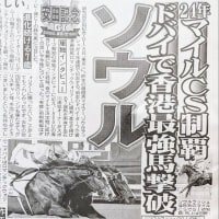 👑🐴安田記念　2025