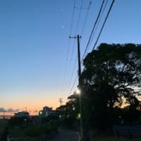 ３月の旅、東京へ15