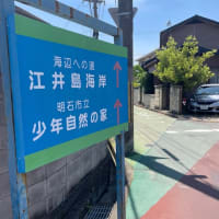 金鳥の夏