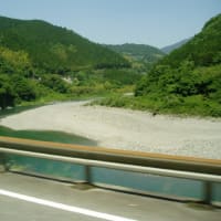 米軍,パレスチナに支援物質&大谷,Number取材に結婚相手も&下村議員,政倫審出席一転取止めか!?&201905四国メイン旅行,佐川から仁淀ブルーへ・&スーパーチューズデー,トランプ圧勝っ！