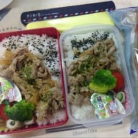 今日のお弁当