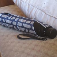 いよいよ日傘の出番ですねえ。