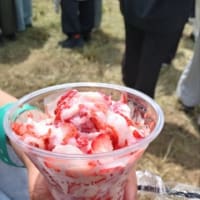 5月11日おやつ東京都江東区海の森公園内・METROCK会場内千葉うまかっペ屋