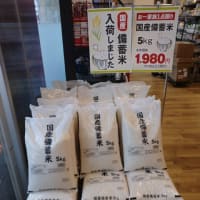 あっちもこっちも「熱い」もん！