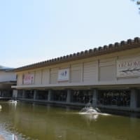 超国宝展
