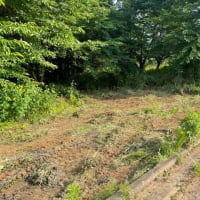 整地と除草作業
