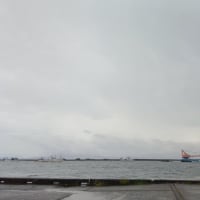鯵釣り