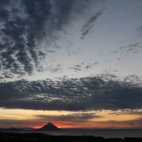 大空に描く模様はお上手⛅