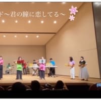 大人のピアノ科、フルート科