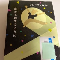 ブレイディみかこ著『転がる珠玉のように』