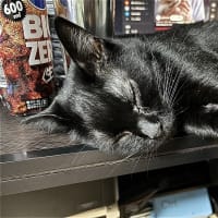 熟睡中ｗ