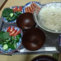 暑いので素麺