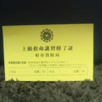 上級救命講習