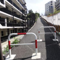 和光市白子の百段階段！ふらりとやって来ました。実際は77階段でした。