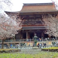 古都奈良と吉野の桜～その３（吉野山後半）