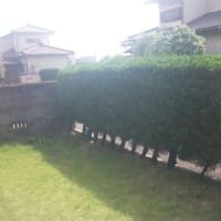 梅雨期の前に