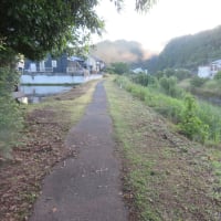 朝の散歩（2024/5/29）・・・姶良市加治木町網掛川上流方面