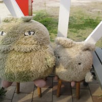 日焼けモリコロ