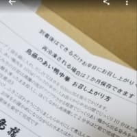 かもネギ