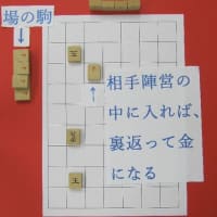 ９）専用成駒(竜・馬) ② - 即興将棋ーゲームの説明ー