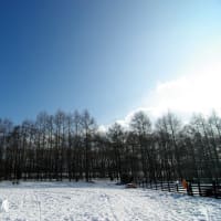 冬キャンプ＠北軽井沢