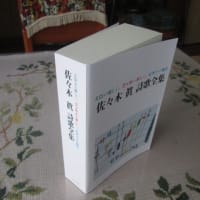 犬猫ツインタワー