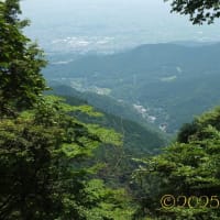 山の頂上で愛を考える旅... Part 2