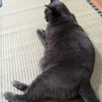 50代になってまさかのダンナ単身赴任