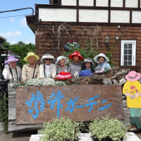 紫竹ガーデン その２（2023北海道no19)