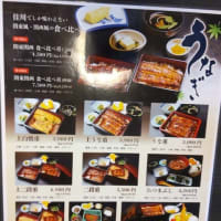 2025/6/4　　　２０２４／１２／２９　かがわ