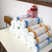 青葉キャンペーンを駆け抜けて、夏へ。
