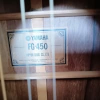 新しいギターを買いました。