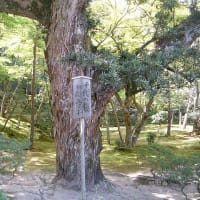 06/25奈良京都の旅-13（高台寺、知恩院、銀閣寺）