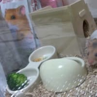 みつまめさん初お披露目