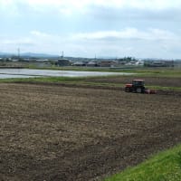 酒米田んぼ「土壌作り」