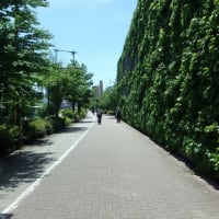 東京都薬用植物園（その３）