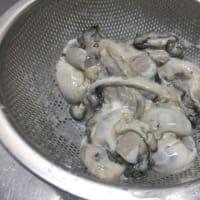 知内の牡蛎！！