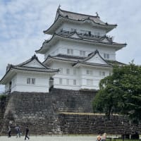 バス旅行で旬の花を②