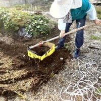 6月18日（水）