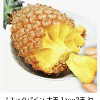 かみさんが、沖縄産のスナックパインを買って来た。