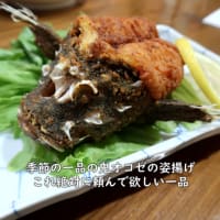 【漁場傳兵】名物！漁師の海鮮丼【新潟県上越グルメ】上越すちーる