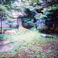 「忠臣蔵の黒幕⁈」（　泉秀樹の歴史を歩くより）
