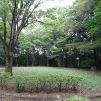 7月１２日の日本庭園整備・清掃活動報告