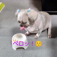 桃君７月トリミング