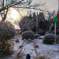 雪の生駒山